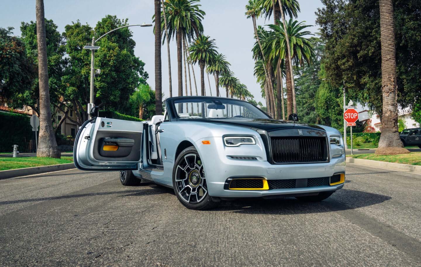 Rolls Royce Door Open