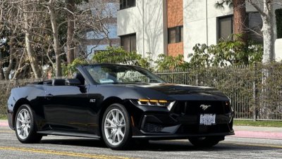 Black Ford Mustang GT CVT thumnail image