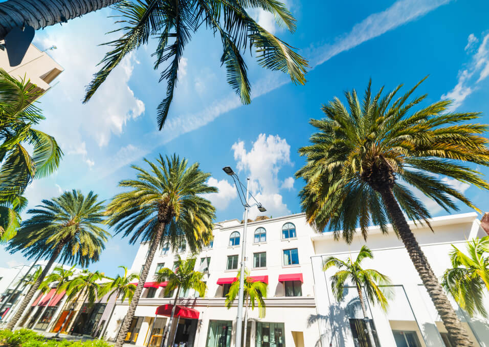 About Beverly Hills Car Rental